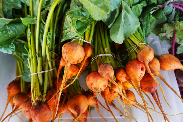 Beets at the Saskatoon Farmers market